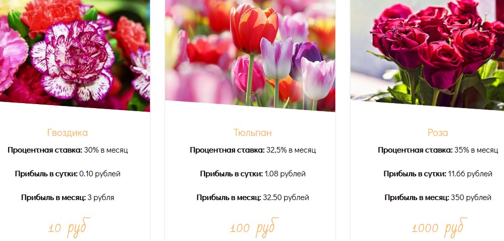 Стоиомость саженцев